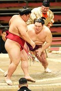 朝乃山 大栄翔破り３連勝　春場所３日目