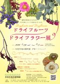 ドライフルーツ・ドライフラワー展