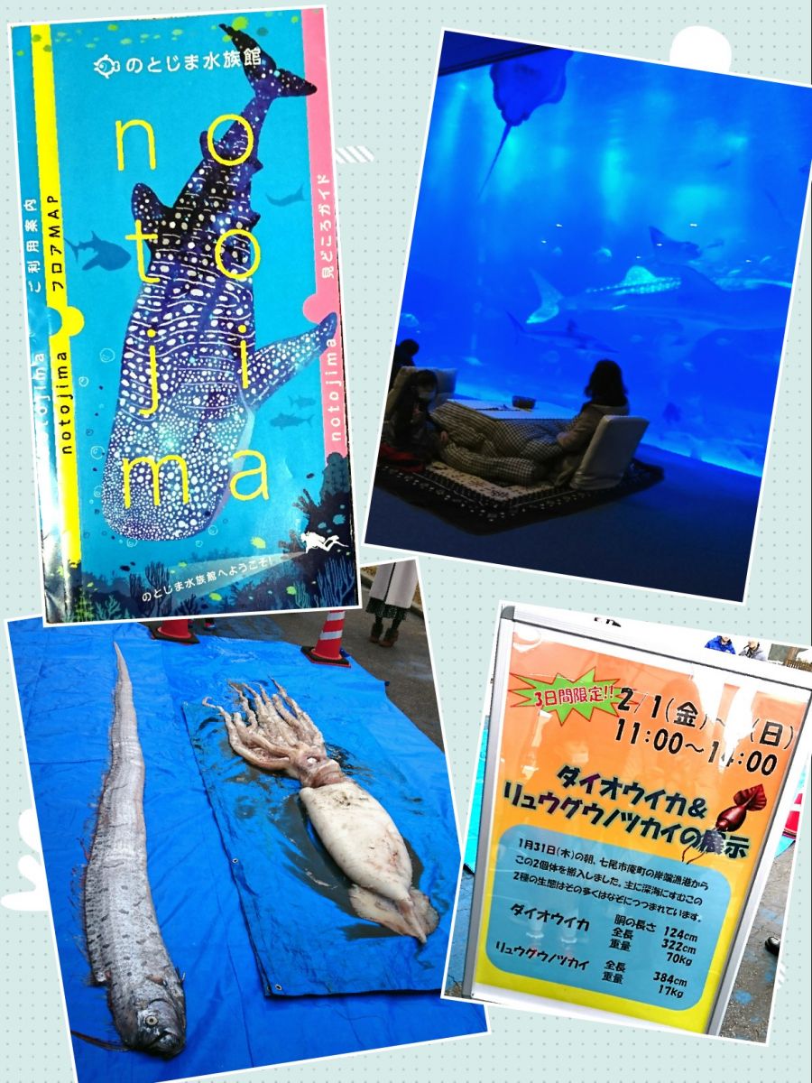 のとじま水族館とアリスキッズクラブ コノコト｜北日本新聞webunプラス