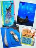 のとじま水族館とアリスキッズクラブ