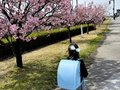 祝入学！環水公園でロケーションフォト撮影
