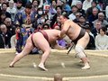 朝乃山 白星先行３勝目　大相撲春場所５日目