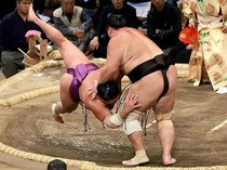 朝乃山、尊富士を下し４連勝　大相撲九州場所６日目