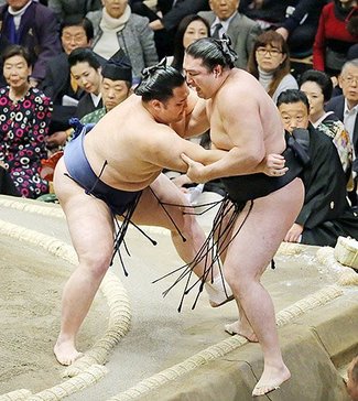 朝乃山、初日から３連勝　大相撲初場所３日目