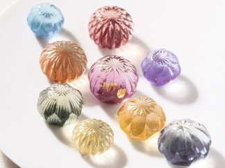 【スイーツ研究会 vol.3】薄氷本舗 五郎丸屋(うすごおりほんぽ ごろうまるや)　きせつのさがしもの 秋色