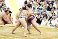 朝乃山、北勝富士寄り切る　大相撲富山場所