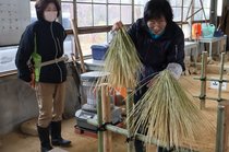 わらぼっち編む技術学ぶ　中央農業高校