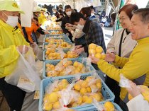 庄川ゆず求め長蛇の列　砺波でまつり始まる　