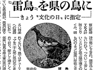 １１月３日の歴史<br />ライチョウを県鳥に指定　１９６１年