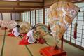 優美な「檜扇」蔵出し、和歌山