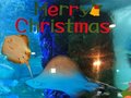 魚津水族館でクリスマス🎄気分♪