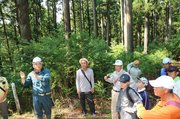 学校林について説明を受ける参加者