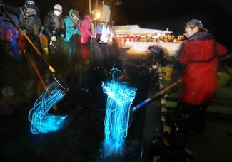 迫力の海上観光は予約必須、ホタルイカ漁解禁、４月の平日残りわずか