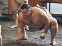春場所目前！ 朝乃山、土俵復帰へ　人気記事一覧
