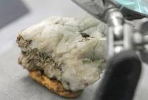 米、重要鉱物を民間が備蓄計画