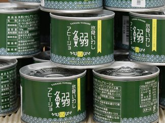 チューリップだけじゃない!砺波にオリーブの新名所、パスタランチはオイルで味変<br />