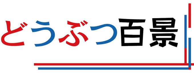 江戸における人と動物の関わりを示す浮世絵や工芸作品の魅力を紹介します