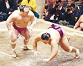朝乃山突き落とされ３連敗　初場所３日目
