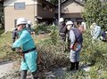屋敷林せん定任せて　砺波のボランティア団体、高齢者宅で手際よく