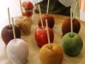 リンゴあめ専門店、マルートに２４日オープン　全国展開の「Ｃａｎｄｙ　ａｐｐｌｅ」