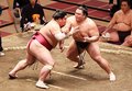 朝乃山あえなく連敗　春場所８日目、５勝３敗で折り返し