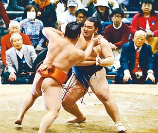 新十両の朝乃山　白星発進