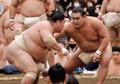 大関・豊昇龍、大栄翔らと１３番