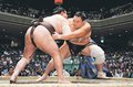 朝乃山、完全復活へ前進　再十両で１２勝「もっと高み目指す」