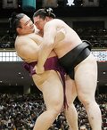 朝乃山、竜電に寄り切られ４連敗　初場所４日目