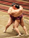朝乃山初日・２日目の相手決まる　大相撲秋場所