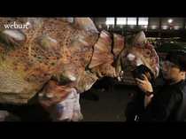 「リアル」恐竜ショーがやって来る　氷見・芸術文化館で２５年５月開催