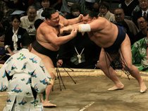 朝乃山まさかの連敗スタート　大相撲九州場所２日目