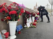 ロシア野党指導者暗殺から１１年