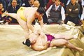 朝乃山、土俵際で反撃に屈する　九州場所６日目