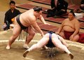 朝乃山 白星発進　春場所、宝富士を突き落としで下す