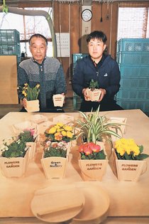 おけの木材を花鉢に　射水・若林木工所、ますずし向け技術応用