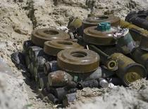 ポーランド、対人地雷生産再開へ