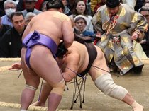 朝乃山一気、会心の初勝利　大相撲春場所２日目