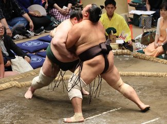 朝乃山３秒で快勝、６勝目　大相撲秋場所７日目