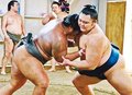 朝乃山みなぎる闘志　九州場所１２日初日