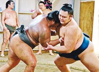 朝乃山みなぎる闘志　九州場所１２日初日