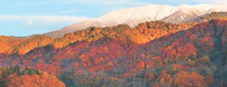 ＜とやまの紅葉２０２５＞有峰<br />夕映えの山肌