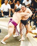 朝乃山前へ前へ　大一番、耐えて気迫の寄り