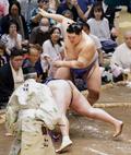 横綱、大関陣はそろって２連勝