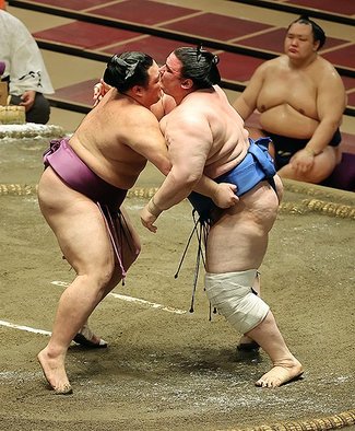 ２０２０年７月場所の成績