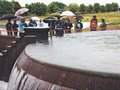 水循環遺産見て触れて　魚津・片貝川流域で水の学び舎ツアー