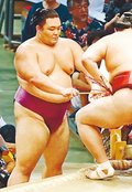 迷いなく踏み込み　朝乃山、２大関に勝ち中盤戦へ