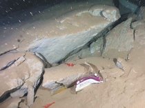 富山湾の海底地滑り痕跡撮影　富山大、シロエビ漁場でも確認