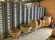 吉野ケ里「魅せる収蔵庫」に挑戦