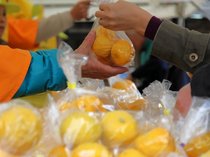 ゼロニイ＋おすすめ！今週末の富山おでかけスポット(11/13up)